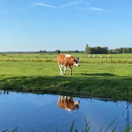 Villa Exceptional House On The Waterfront Reeuwijk